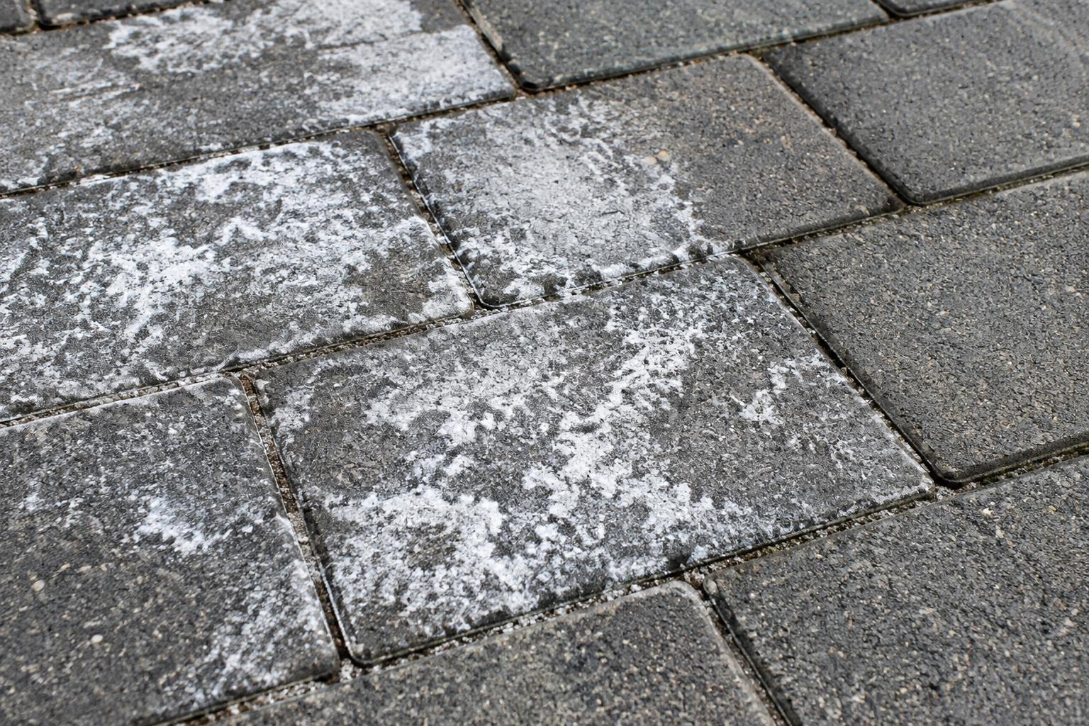 Paver Efflorescence illustration Chalky white deposits on the faces of gray concrete paving stones